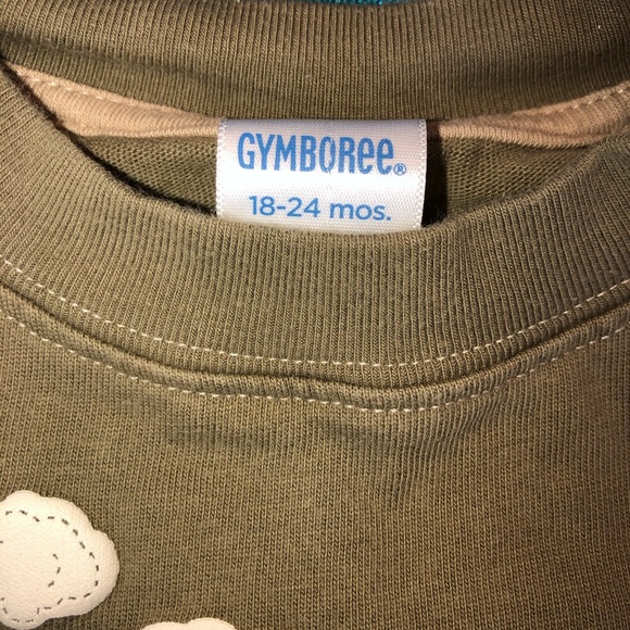 Gymboree Flying Raccoon Tee - Picture 4 of 4